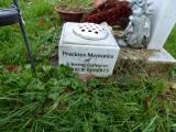 image of grave number 616423